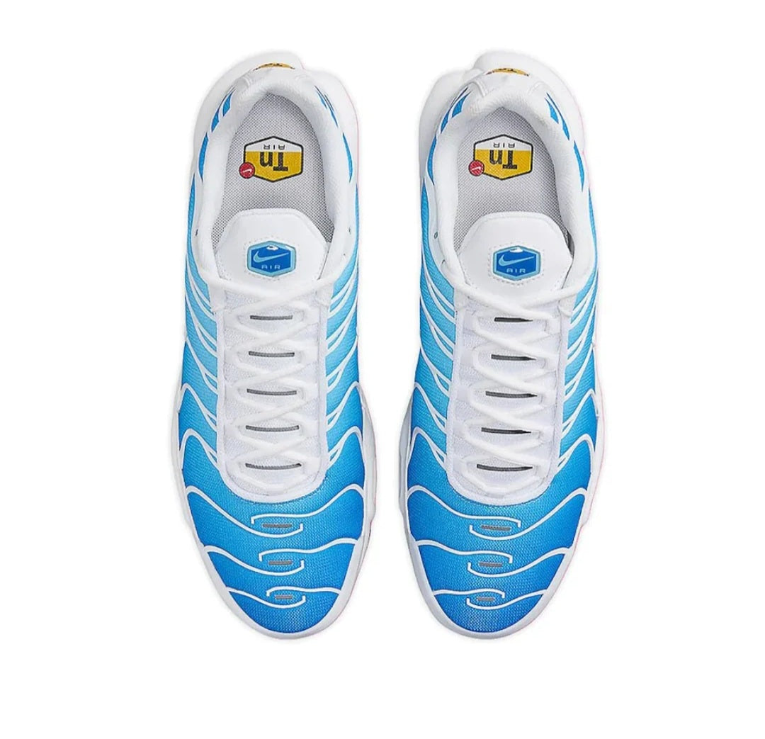 Nike Air Max Plus TN Battle Blue Retro