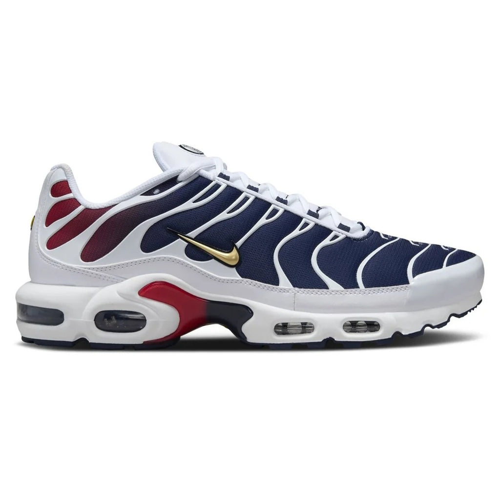 Nike Air Max Plus "PSG"