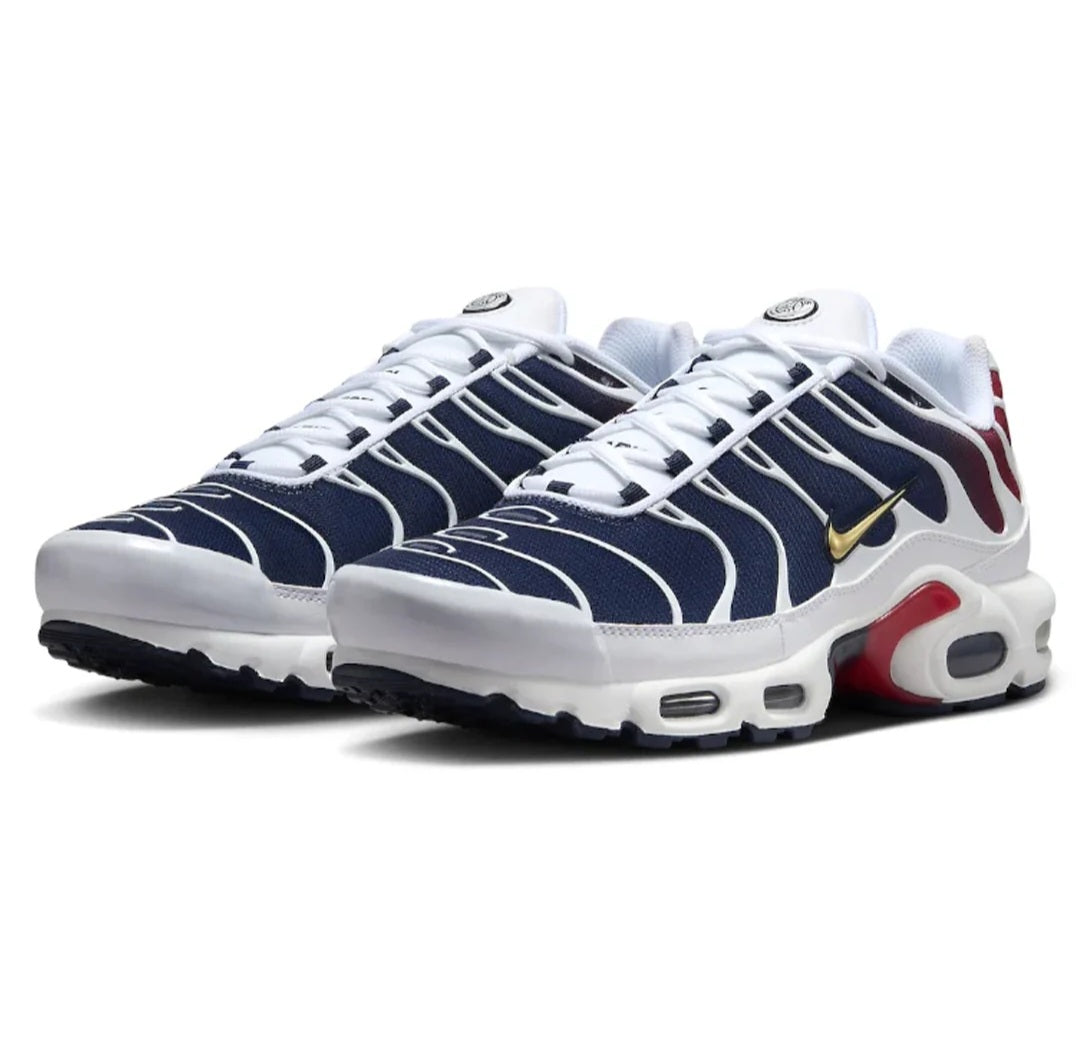 Nike Air Max Plus "PSG"