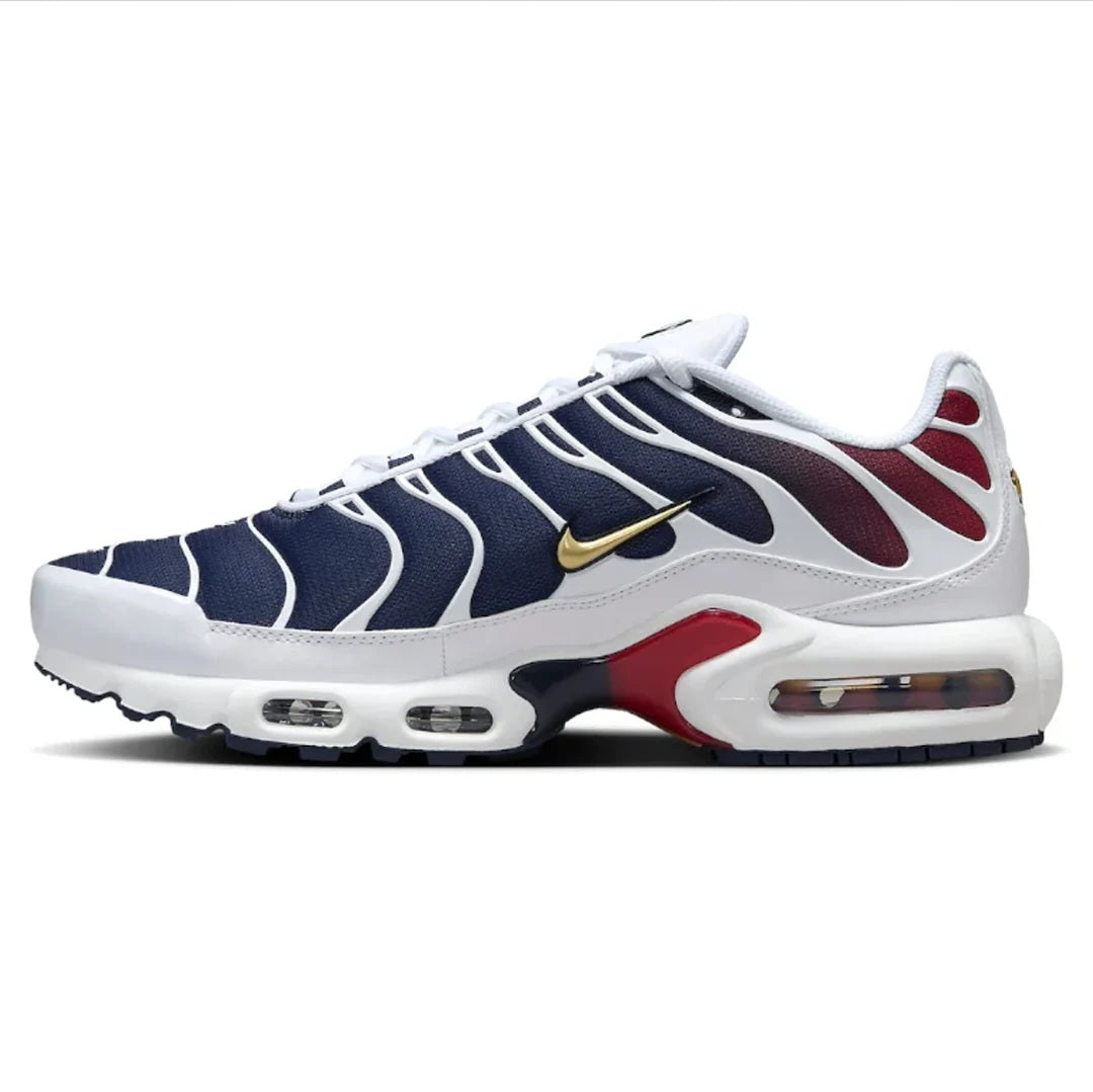 Nike Air Max Plus "PSG"