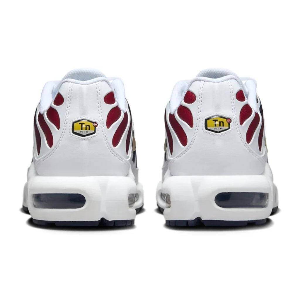 Nike Air Max Plus "PSG"