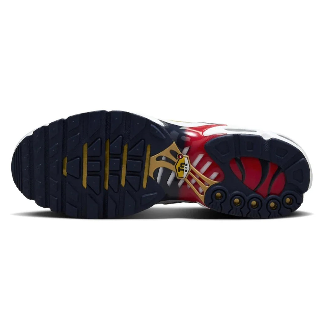 Nike Air Max Plus "PSG"