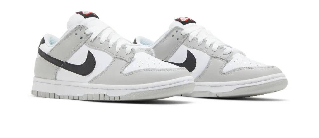 Nike Dunk Low Retro SE "Lottery"