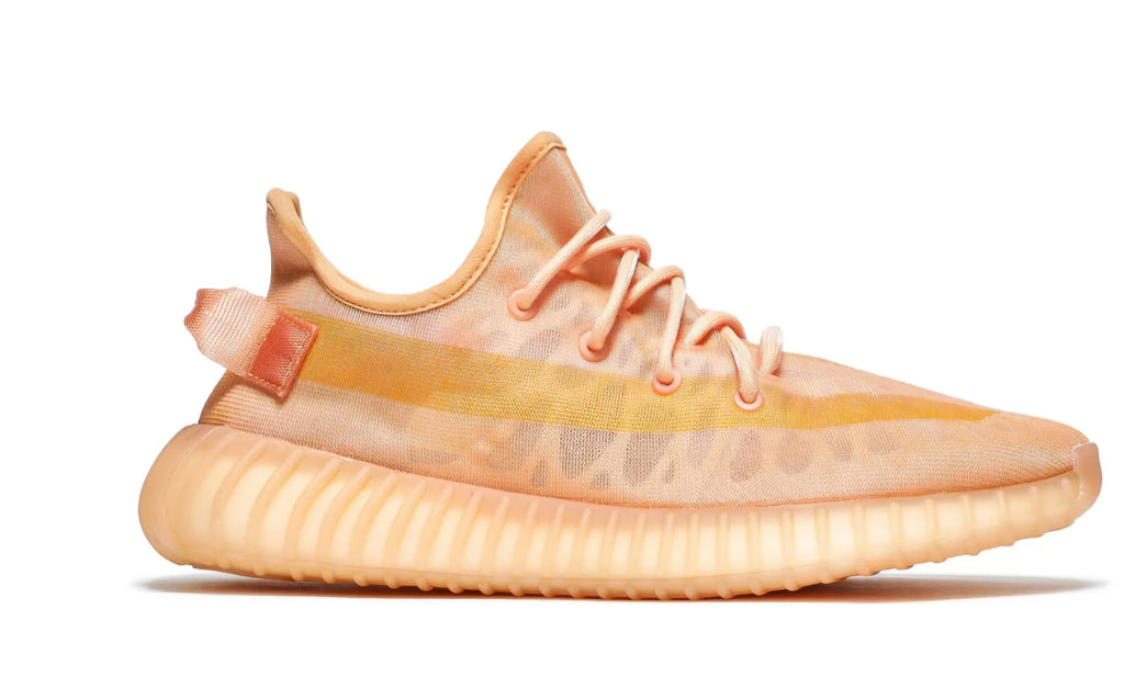 Adidas Yeezy Boost 350 V2 Mono Clad