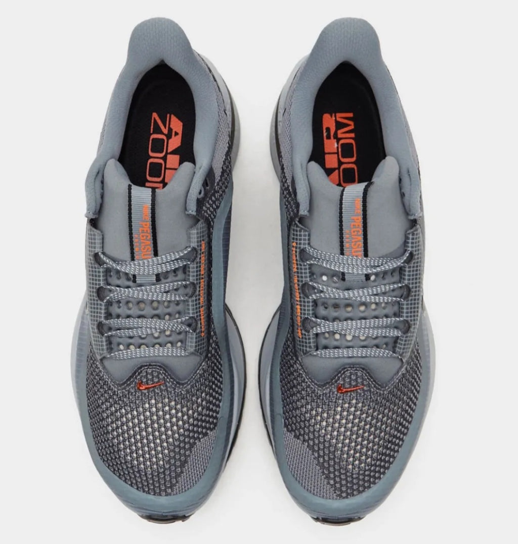 Nike Pegasus Premium