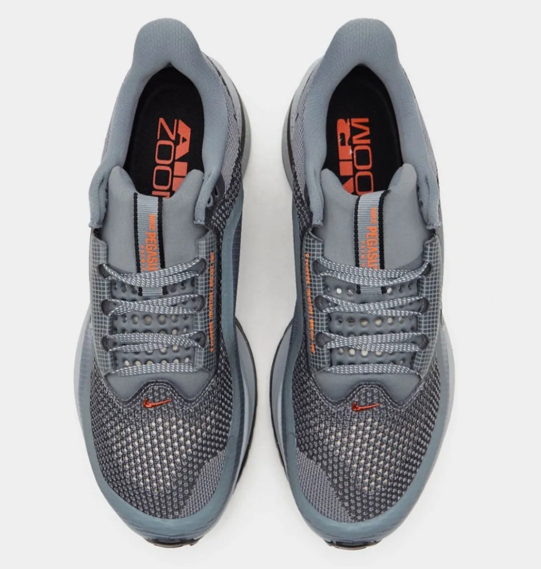 Nike Pegasus Premium