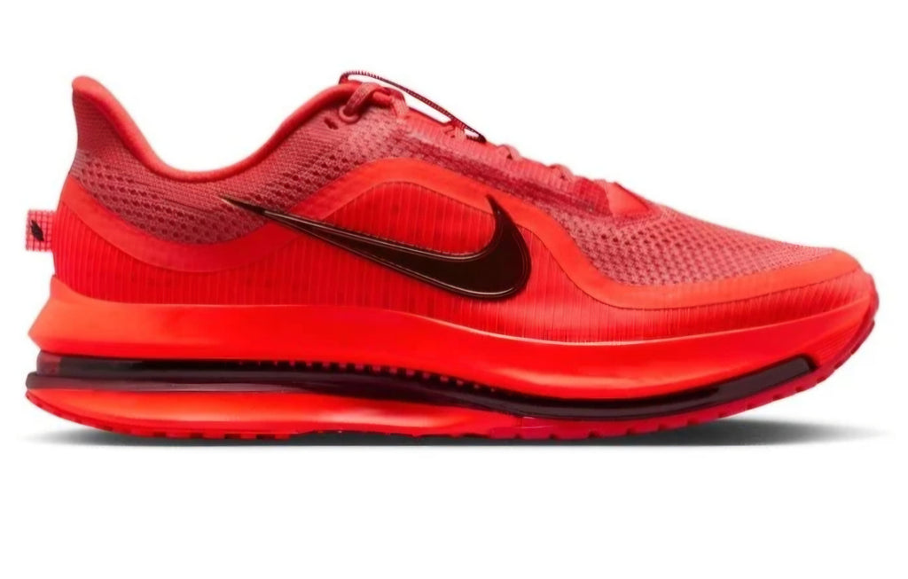 Nike Pegasus Premium