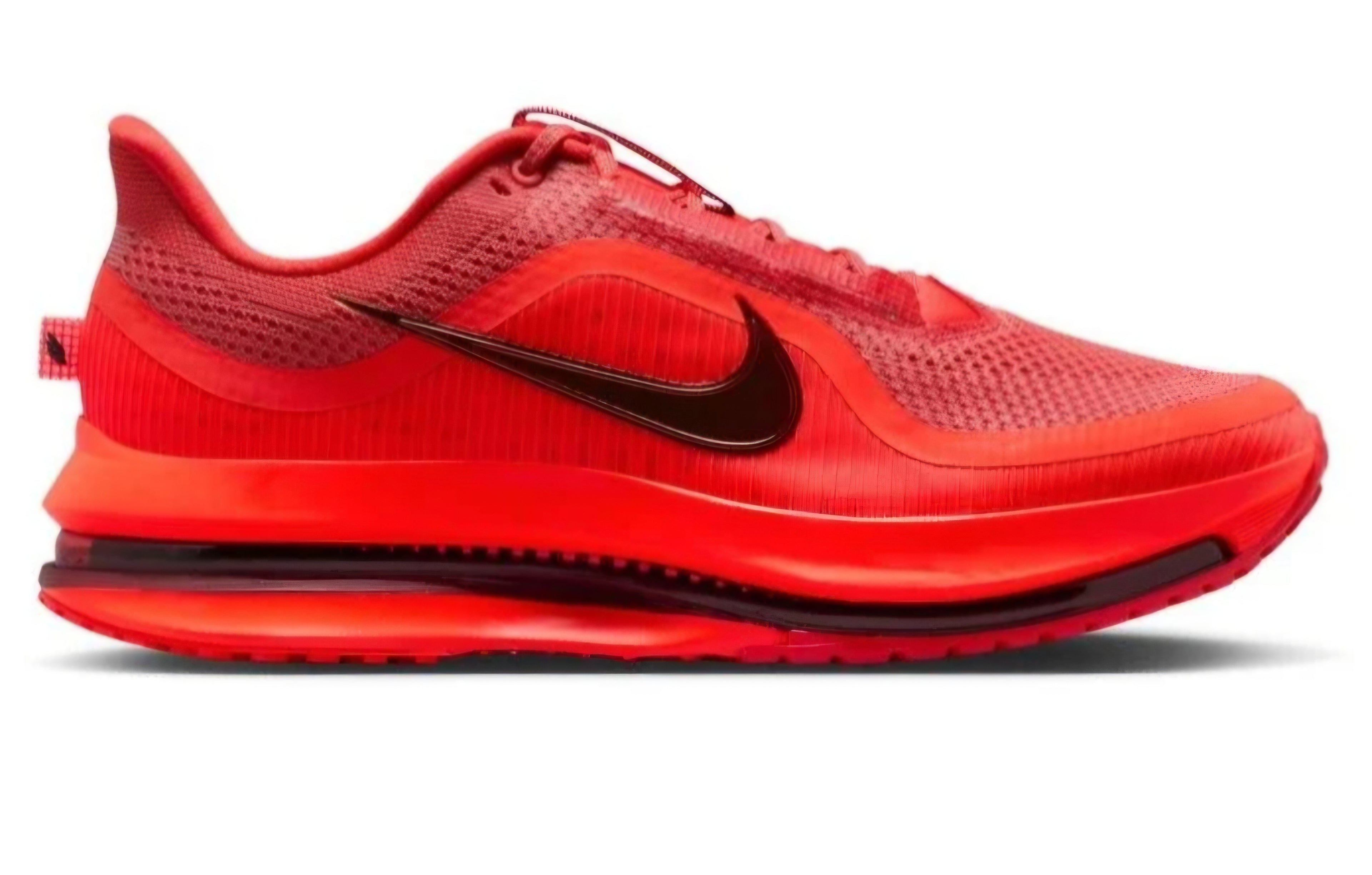 Nike Pegasus Premium