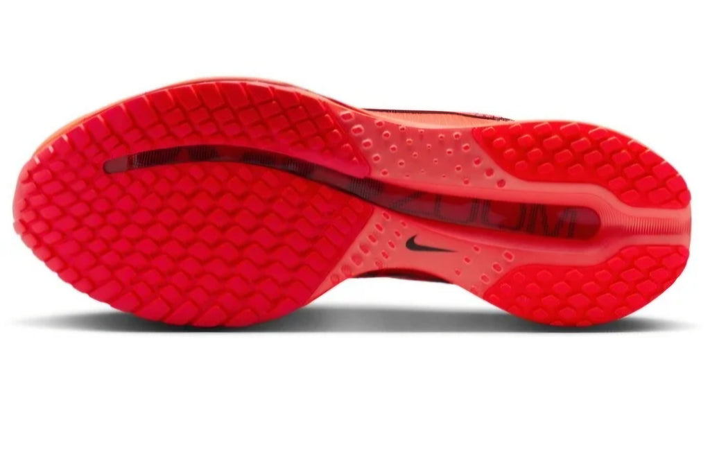 Nike Pegasus Premium