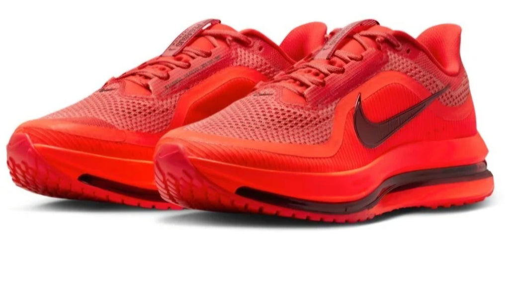 Nike Pegasus Premium