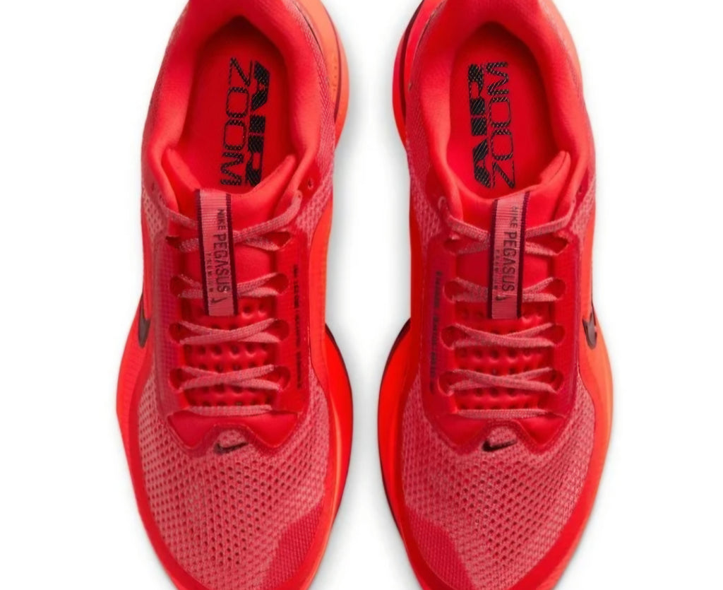 Nike Pegasus Premium